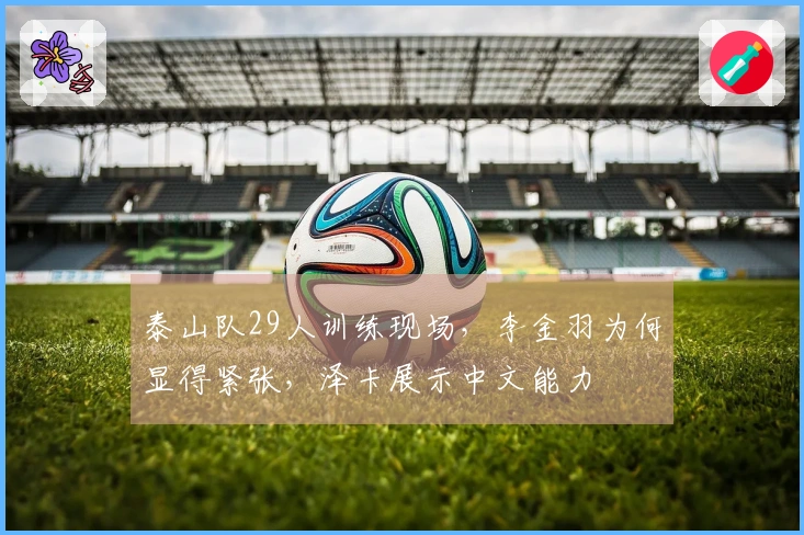 泰山队29人训练现场，李金羽为何显得紧张，泽卡展示中文能力