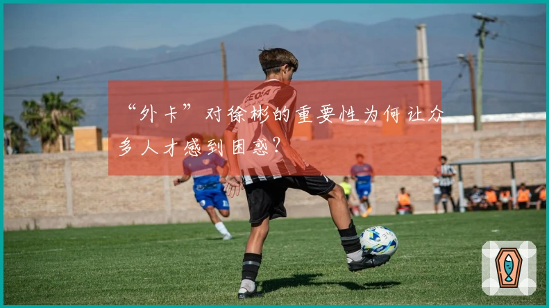 “外卡”对徐彬的重要性为何让众多人才感到困惑？