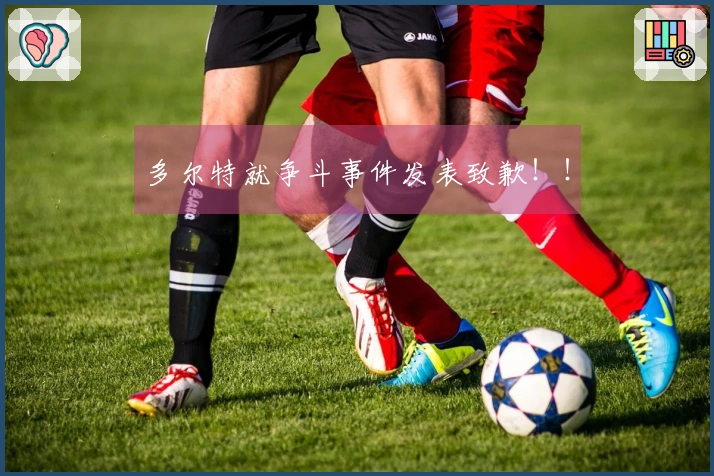 多尔特就争斗事件发表致歉！！